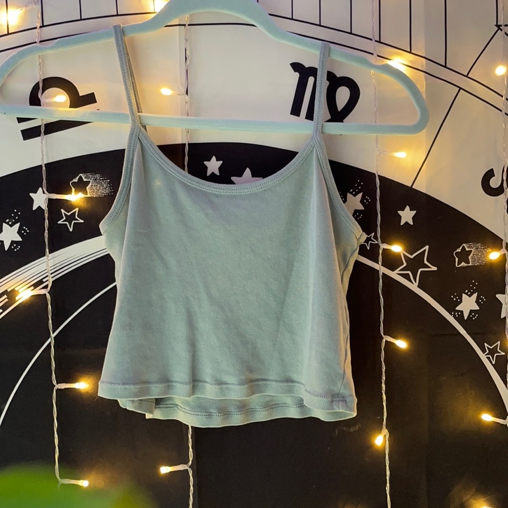 Brandy Melville crop top